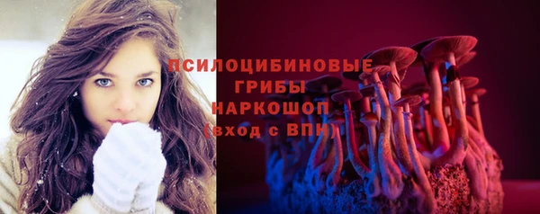 дурь Алзамай
