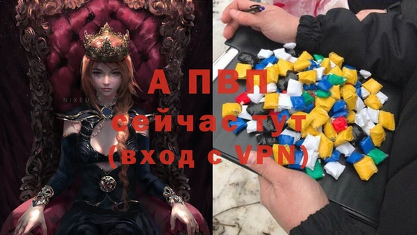 дурь Алзамай