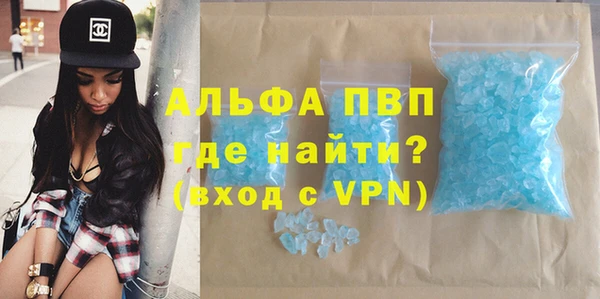 гидра Алексин
